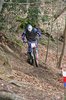 hascup (34)