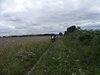 DSCN1350