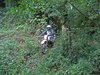 IMG_0033