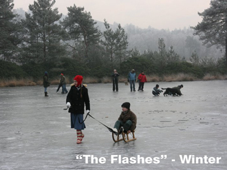 Photo of The Flashes