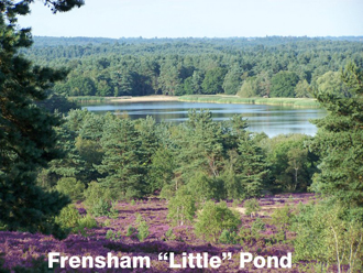 Photo of Little Pond