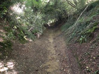 Photo Cross Hyde Lane